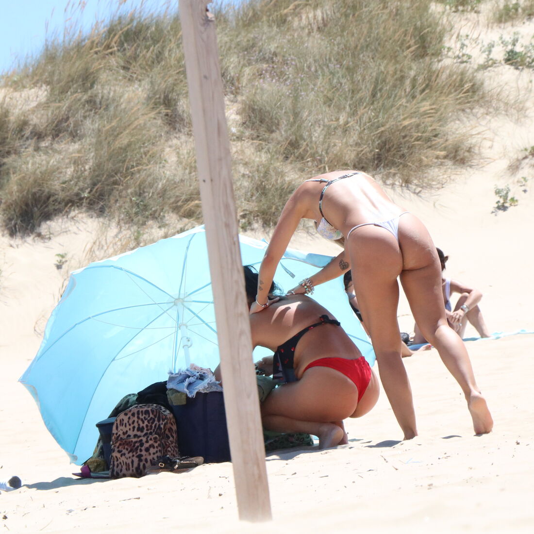 inês martins, agricultor