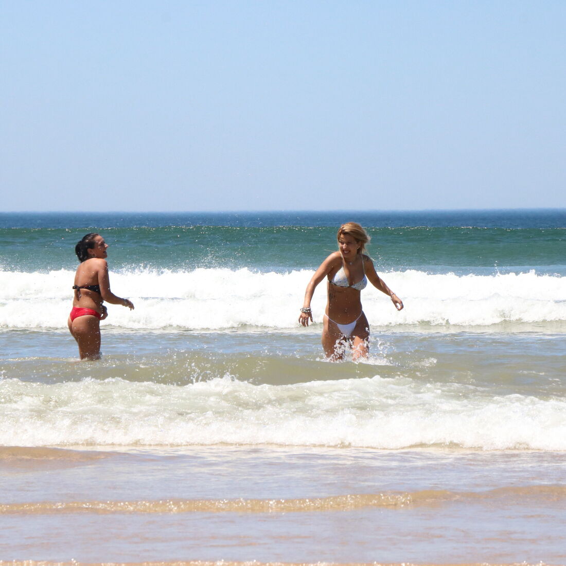 inês martins, agricultor