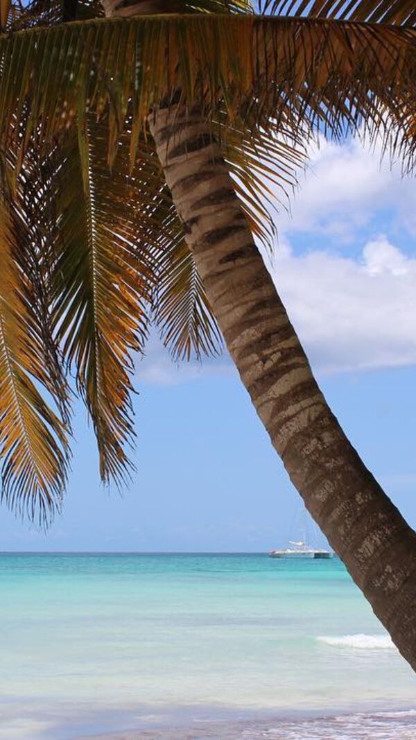 Carolina Fernandes, Ângelo Rodrigues