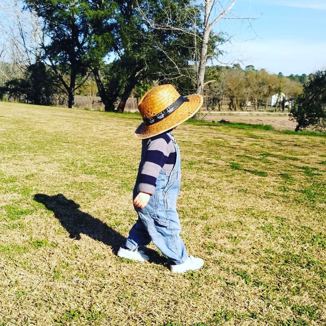 Ana Brito e Cunha, Pedro Afonso