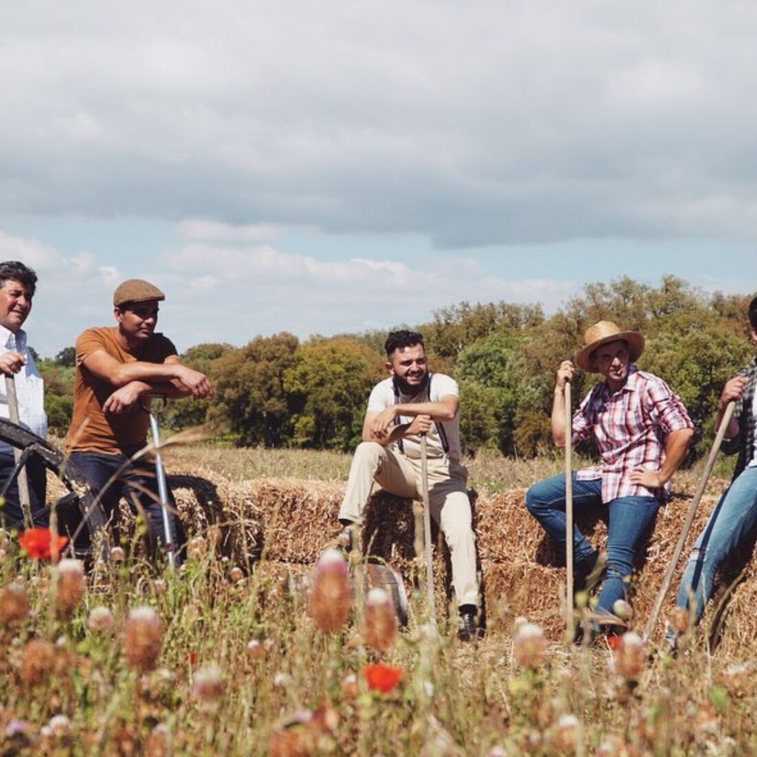 Quem Quer Namorar com o Agricultor