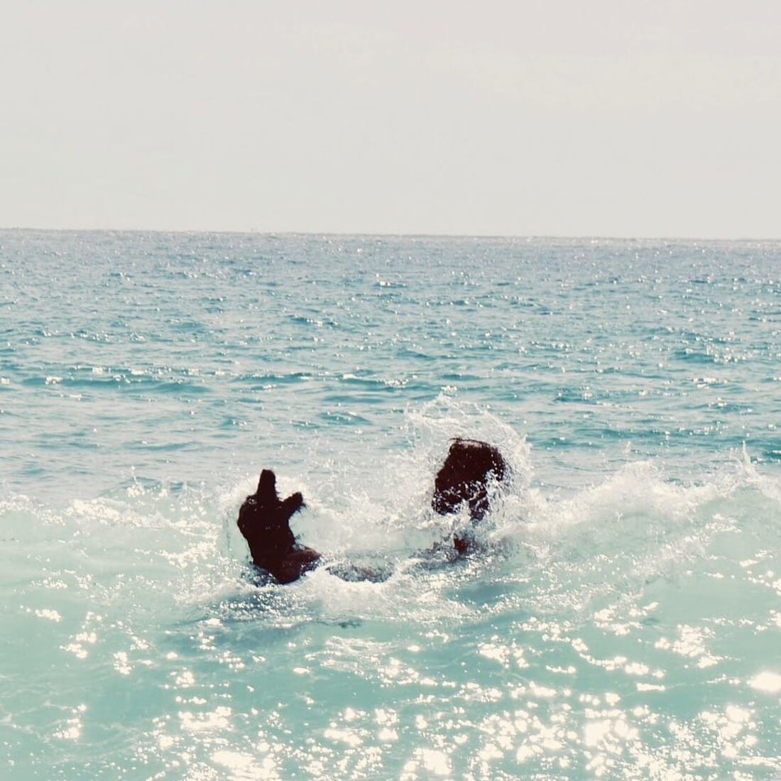 João Manzarra, maravilha