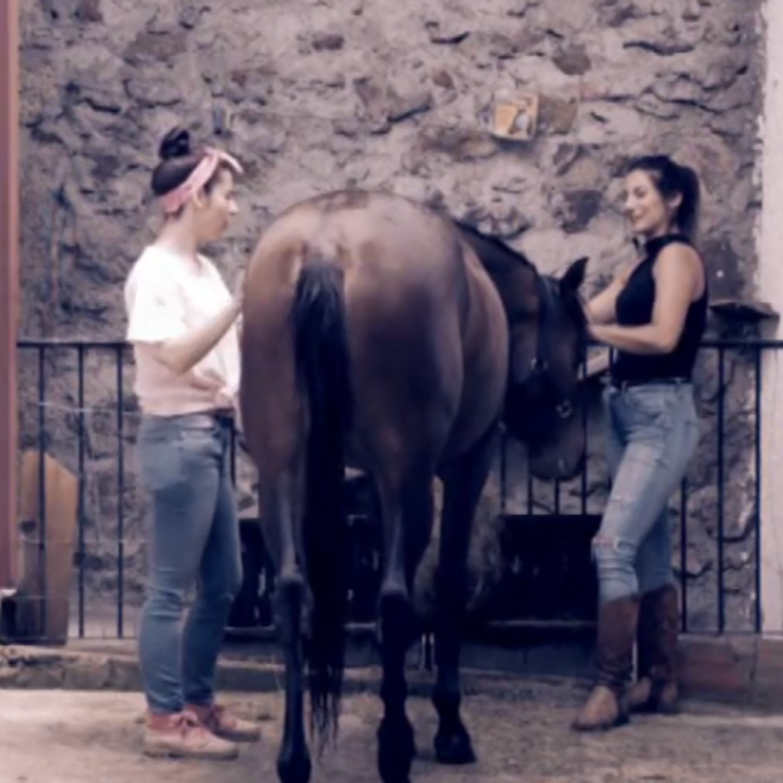 Miguel Pereira, quem quer namorar com o agricultor, sic, agricultor sic, trás-os-montes