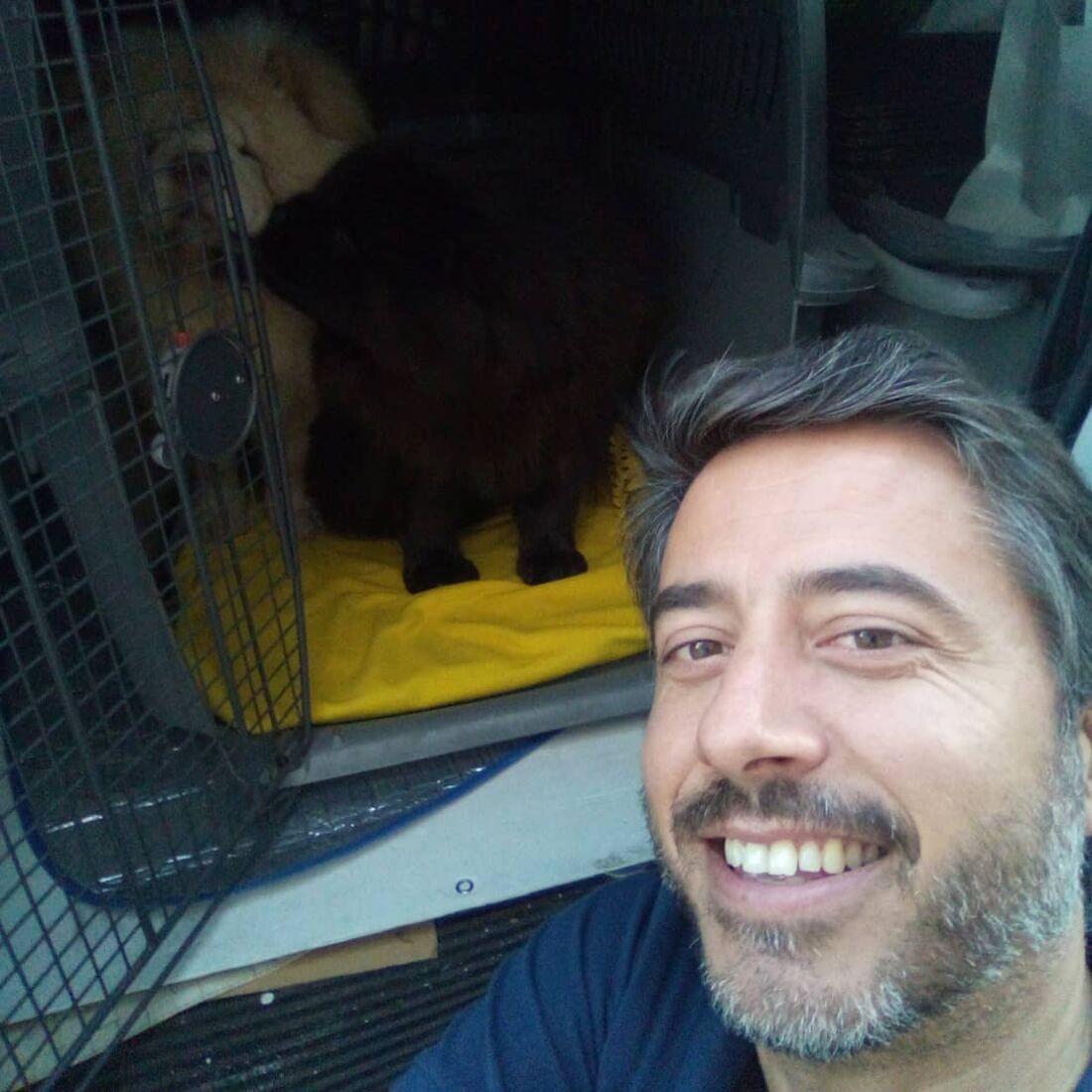 Hugo Oliveira, Casados