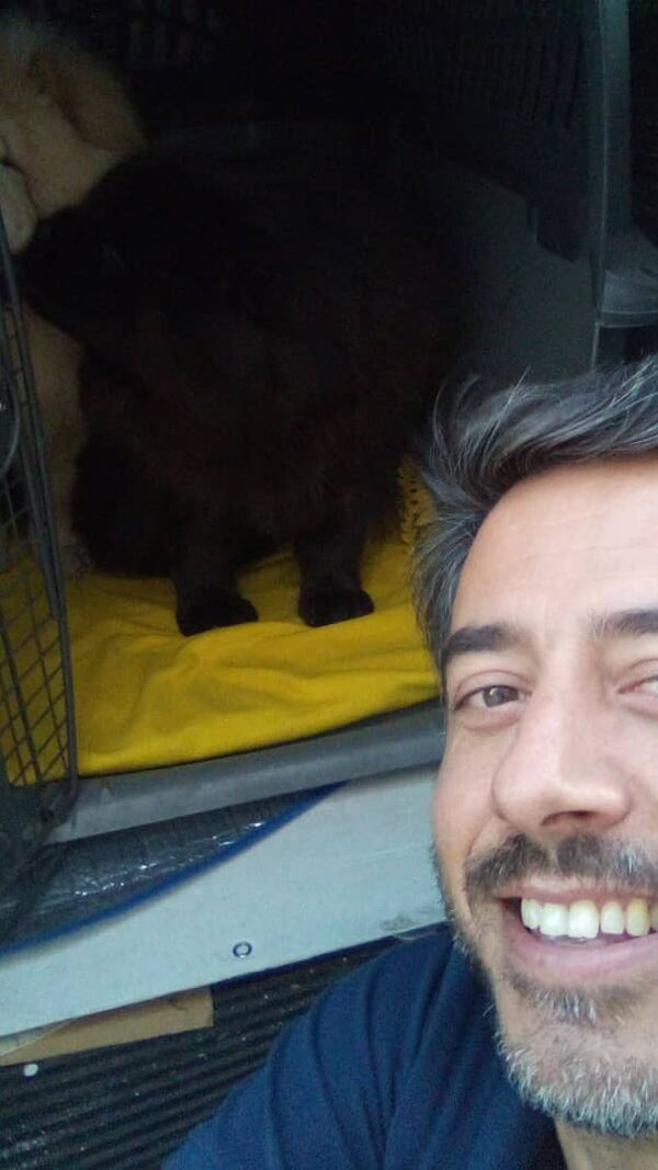 Hugo Oliveira, Casados