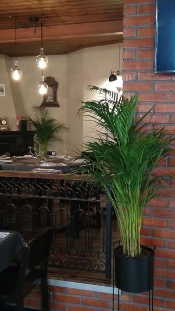 Ljubomir Stanisic, marinha grande, o histórico, restaurante, pesadelo na cozinha, pesadelo, ljubo, TVI