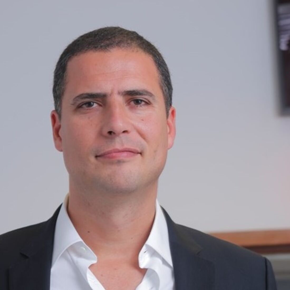 ricardo araujo pereira