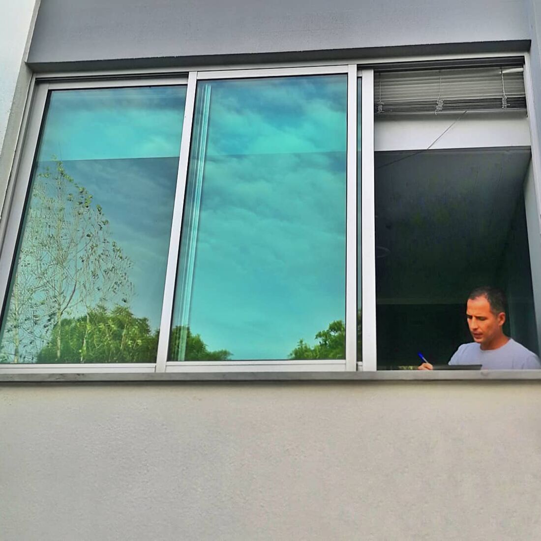 Ricardo Araújo Pereira