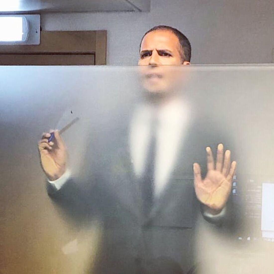 Ricardo Araújo Pereira