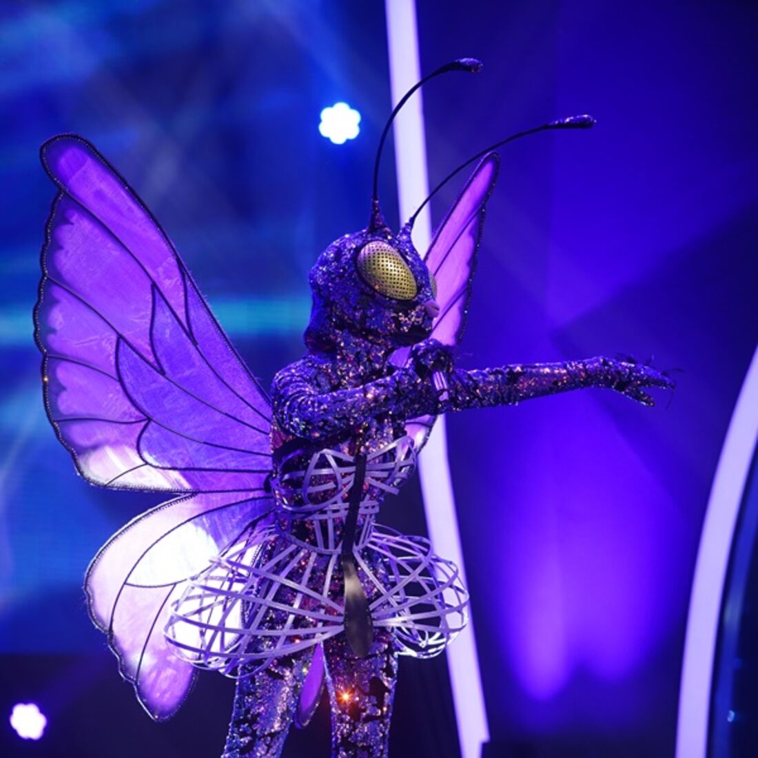 a máscara, joão manzarra, concorrentes, vencedora, Rita guerra, pavão, sic, Raquel Tavares, sara Carreira, Mariana Pacheco, windoh