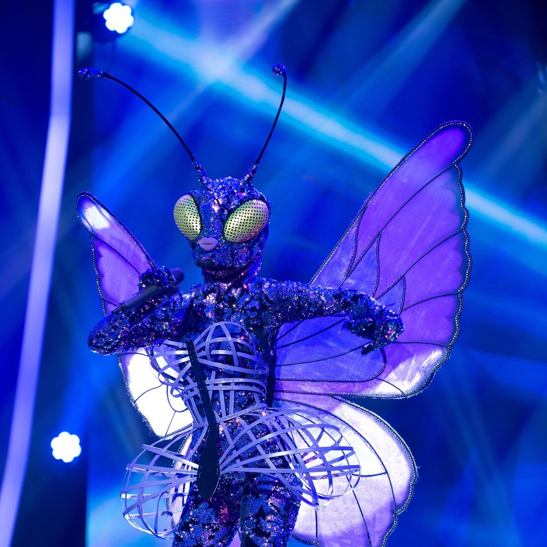 a máscara, joão manzarra, concorrentes, vencedora, Rita guerra, pavão, sic, Raquel Tavares, sara Carreira, Mariana Pacheco, windoh