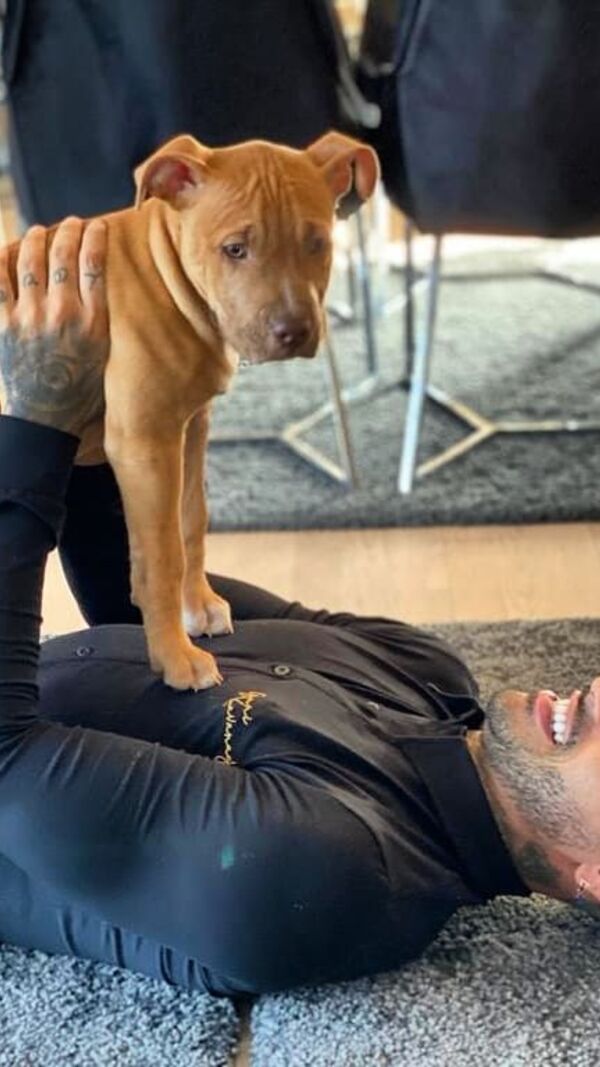 Ricardo Quaresma