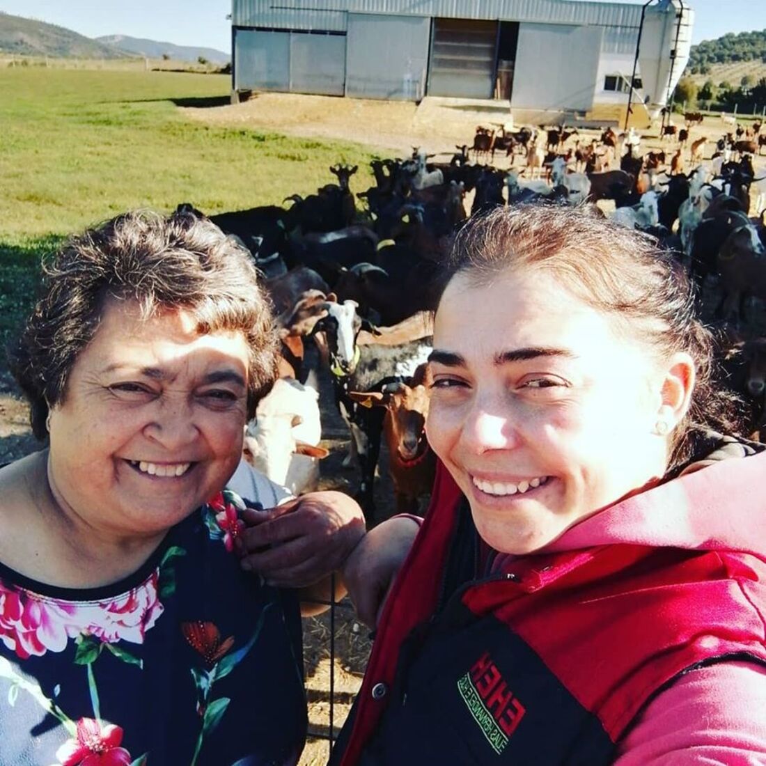 Catarina agricultora programa SIC