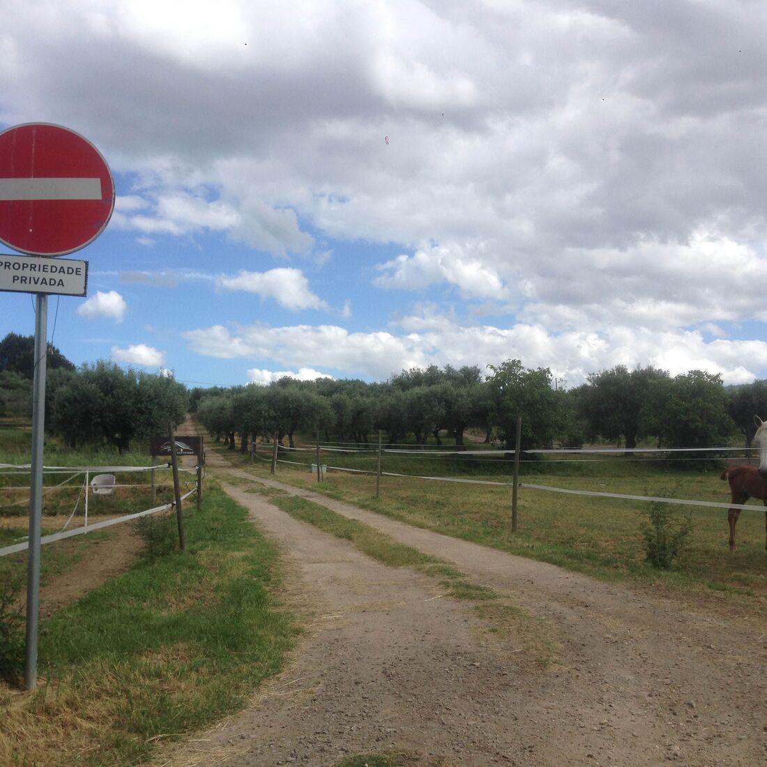 Catarina agricultora programa SIC