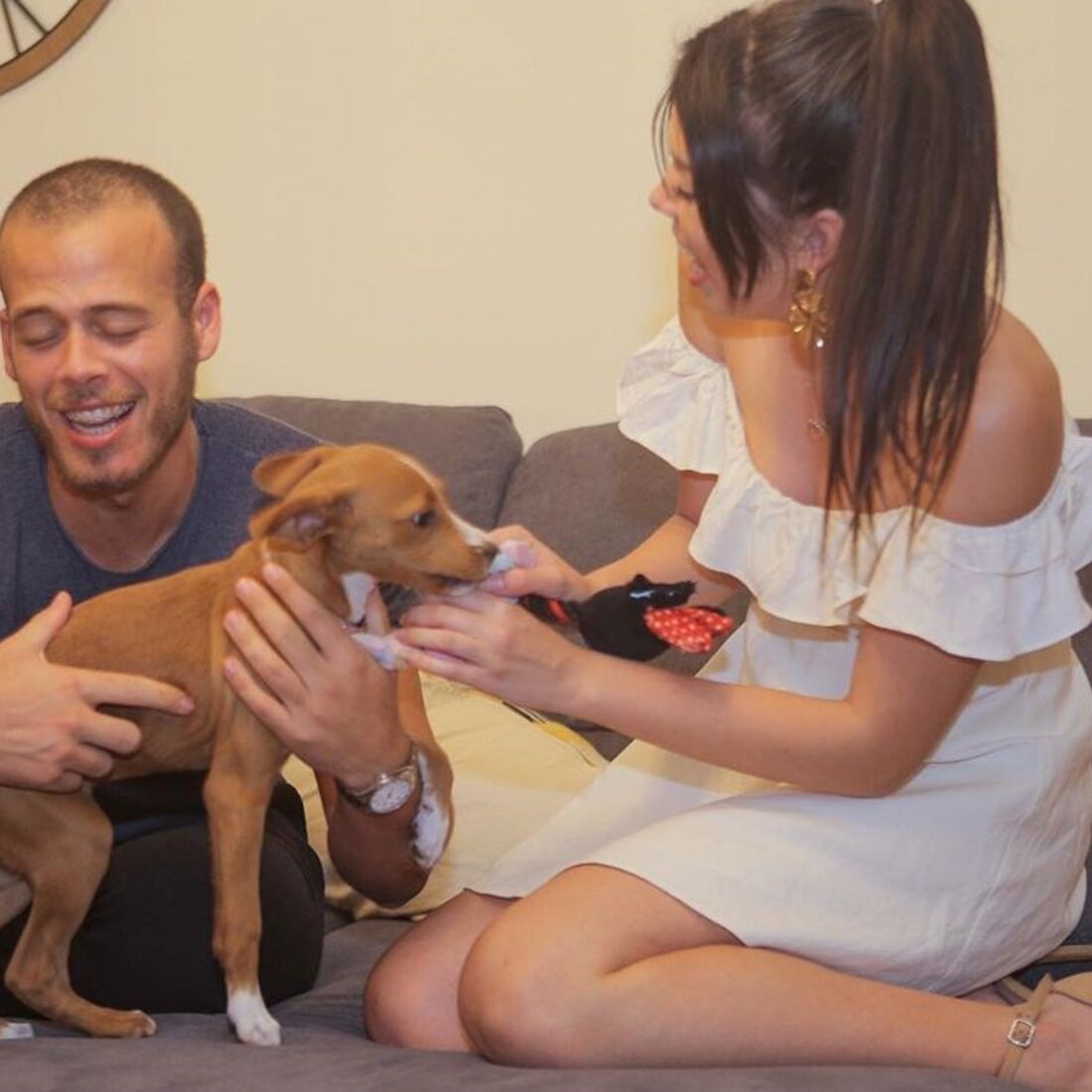 Pedro Moreira, Isabela Cardinali