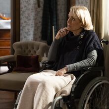 Quer o Destino Catarina 