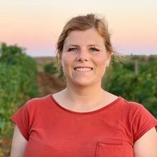 noélia, big brother