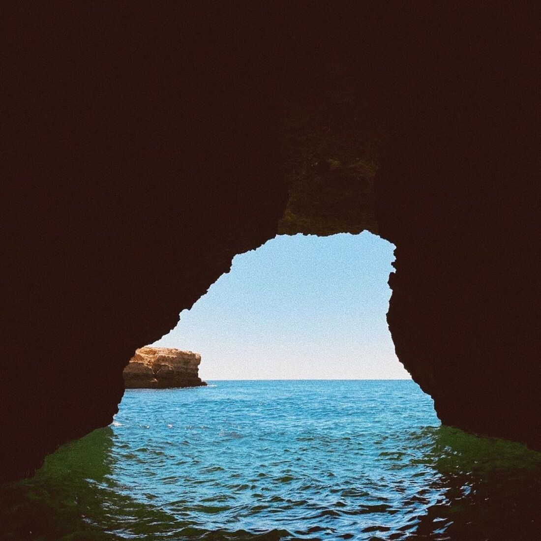 Carolina Loureiro e Vitor Kley 