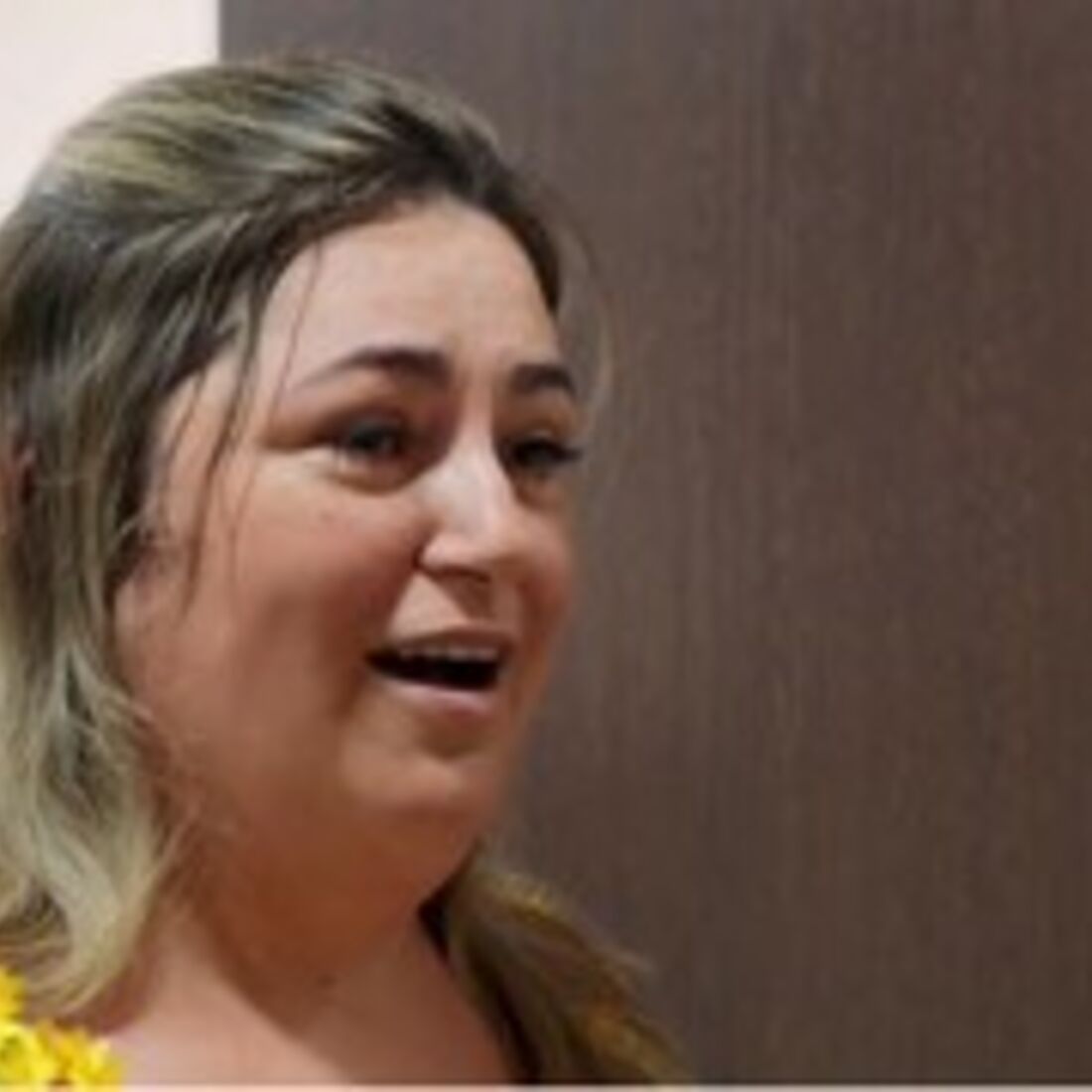 Susana e Octávio, O Noivo é que Sabe