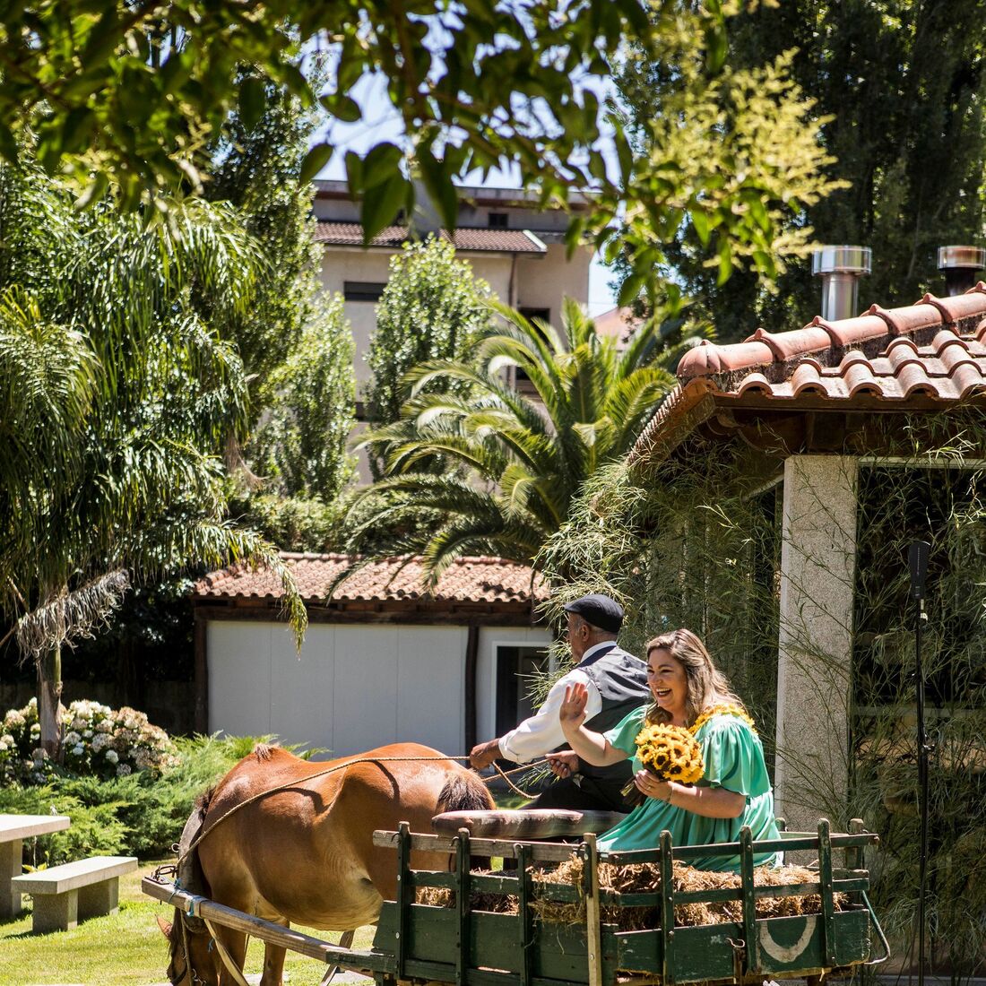 Susana e Octávio, O Noivo é que Sabe