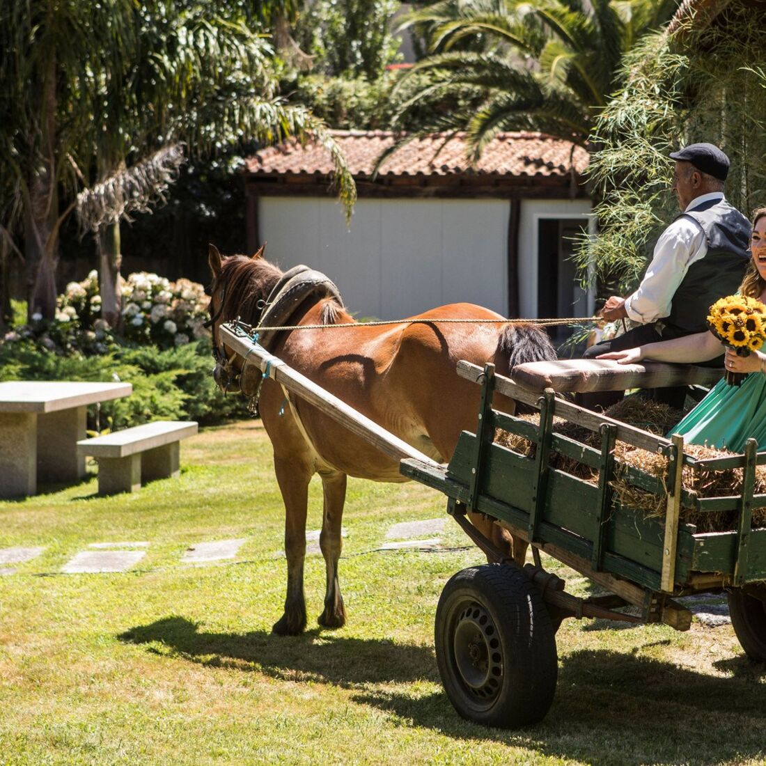 Susana e Octávio, O Noivo é que Sabe