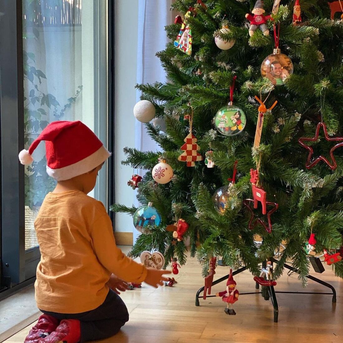 tânia ribas de oliveira