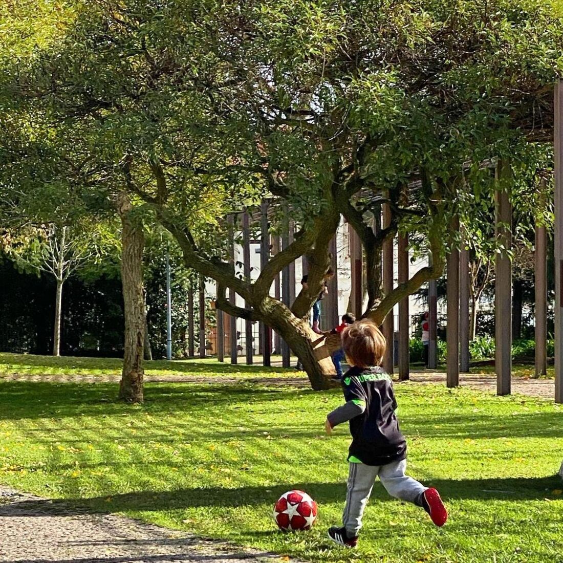 tânia ribas de oliveira