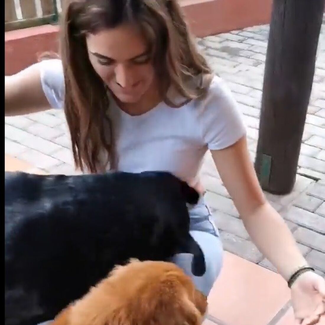 Zena, André Abrantes