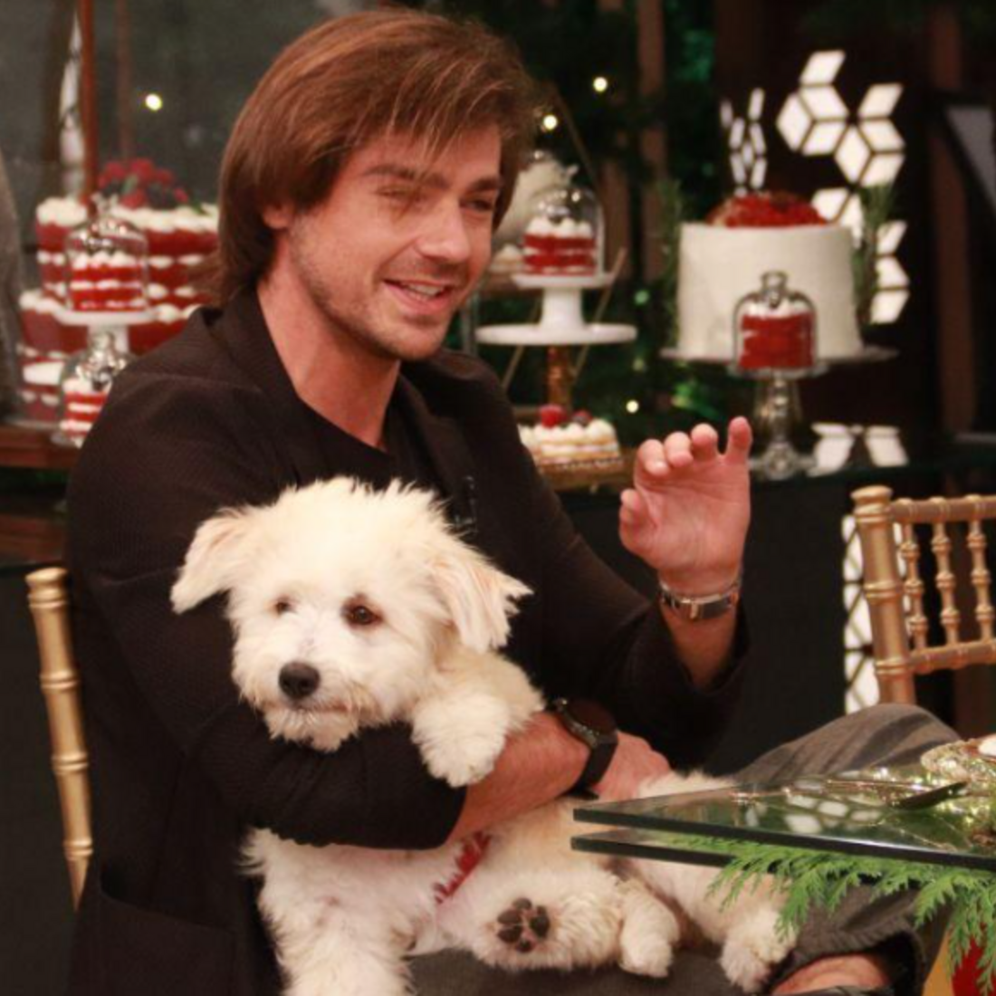 lourenço ortigão, lua, cadela