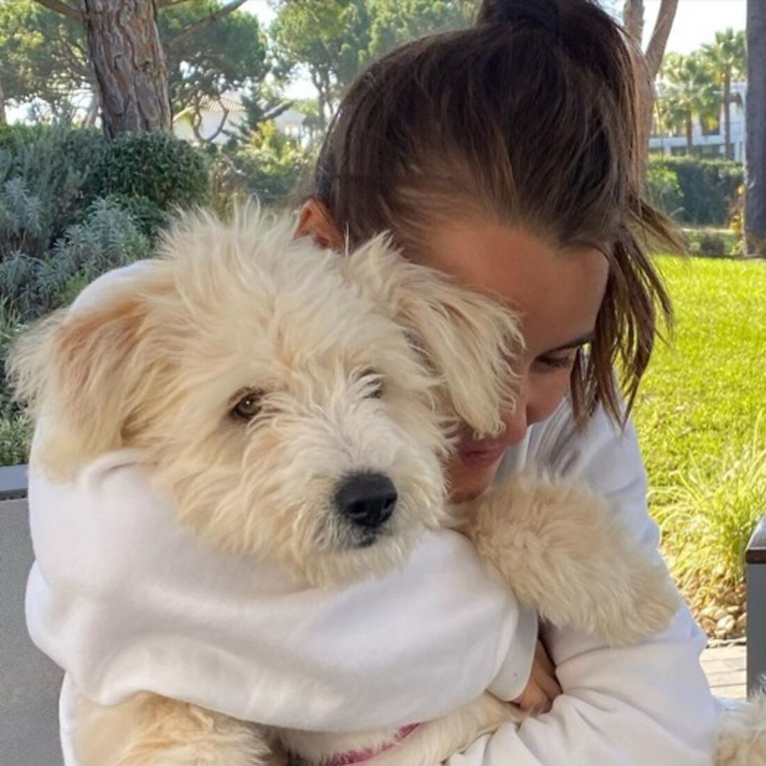 lourenço ortigão, lua, cadela