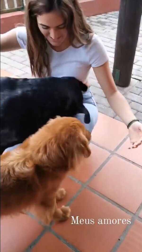 Zena, André Abrantes