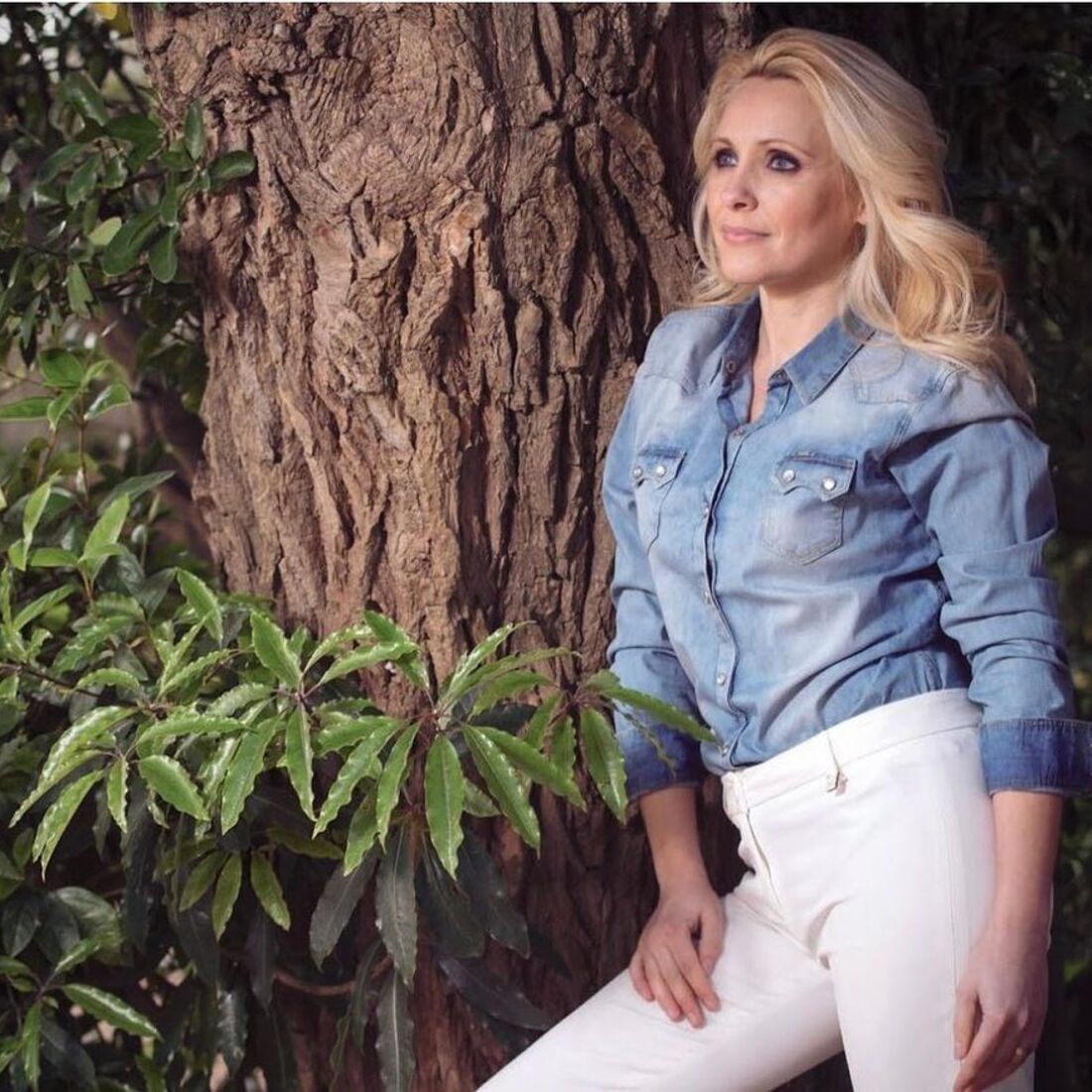 Sofia Alves, A Serra