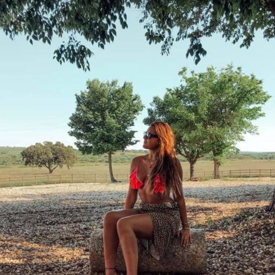 Mery Cardoso, Quem Quer Namorar com o Agricultor, Luís Feijão