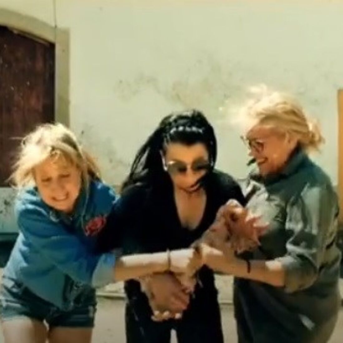 Quem Quer Namorar com o Agricultor, Zé Luús, Ana Maria, Andreia, Salomé