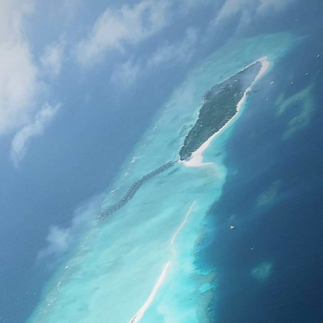 Marta Melro, Paulo Vintém