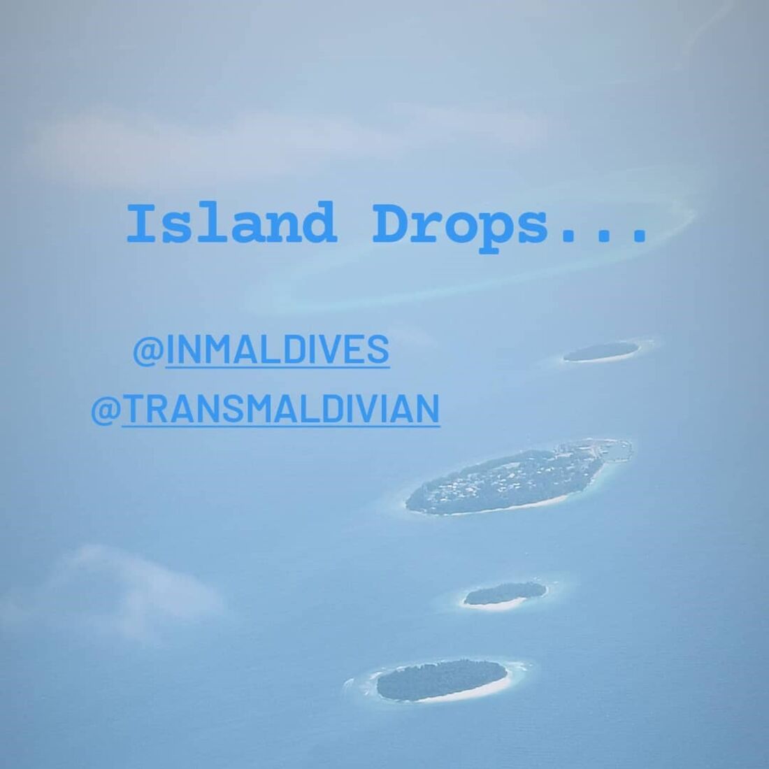 Marta Melro, Paulo Vintém