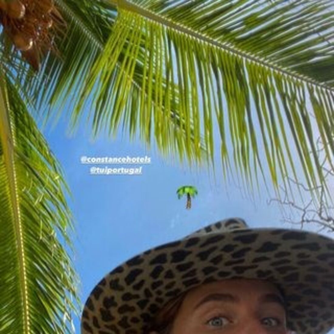 Kelly Bailey, Lourenço Ortigão