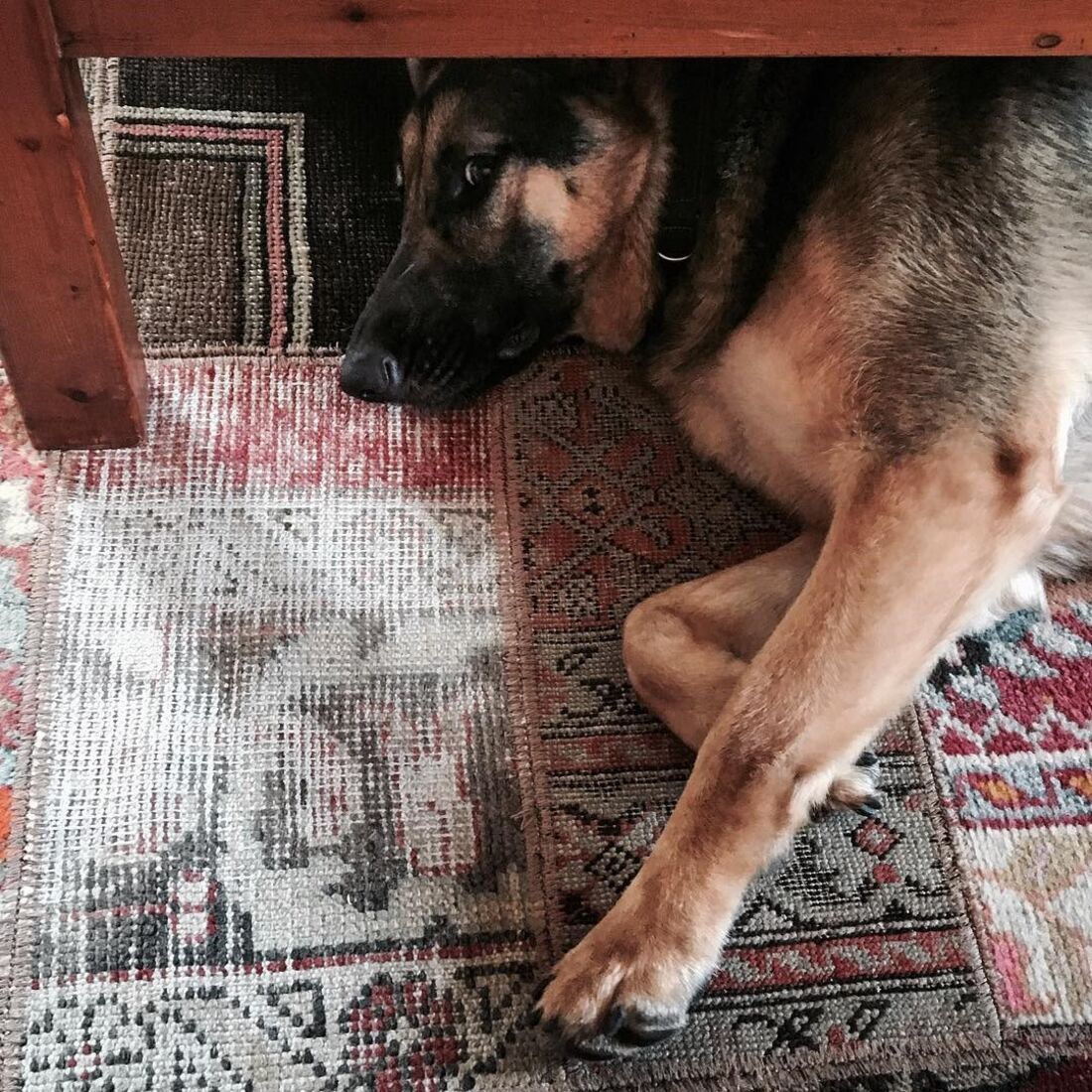 Roca, Rogério Samora