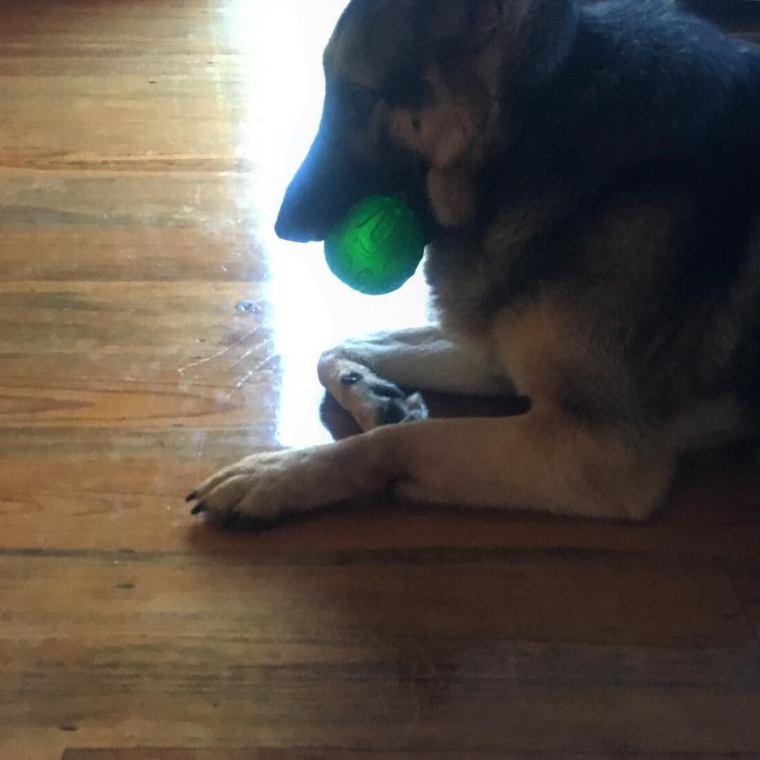 Roca, Rogério Samora