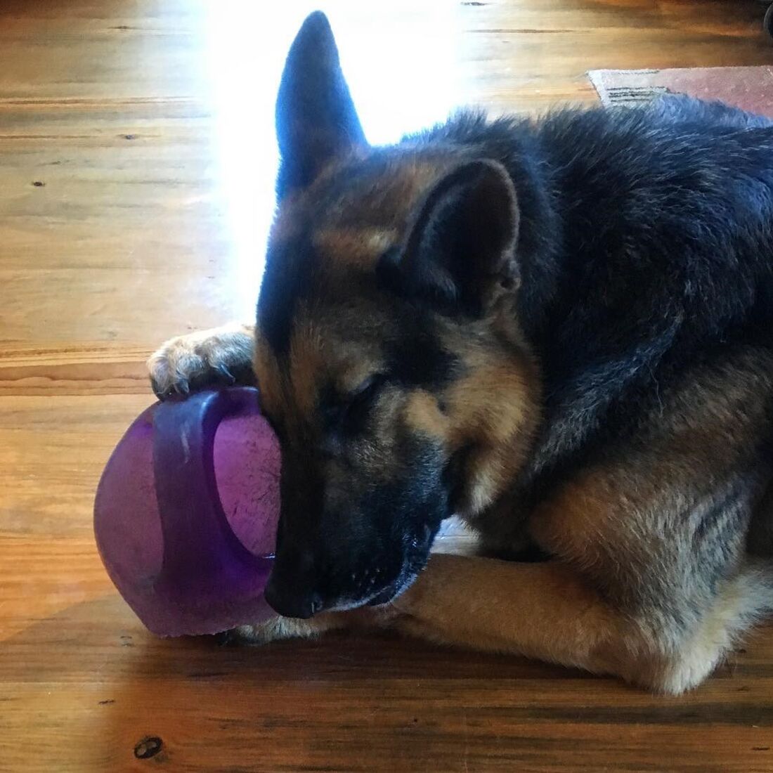 Roca, Rogério Samora