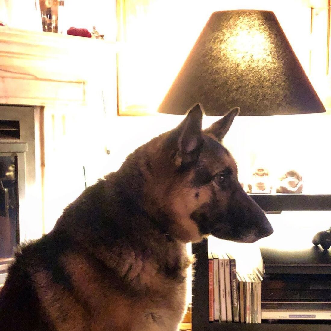 Roca, Rogério Samora