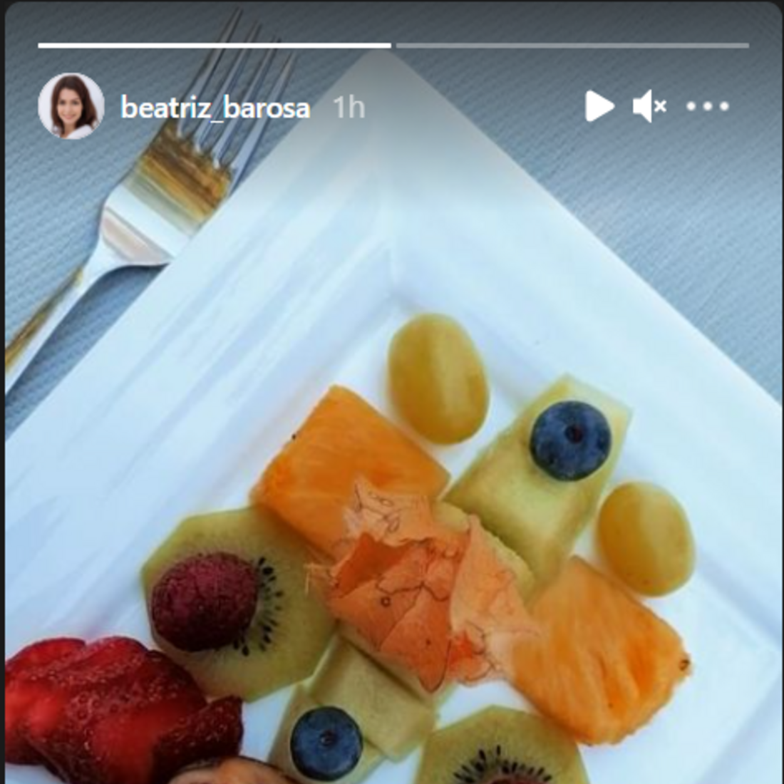 Manuel Marques, Beatriz Barosa, férias