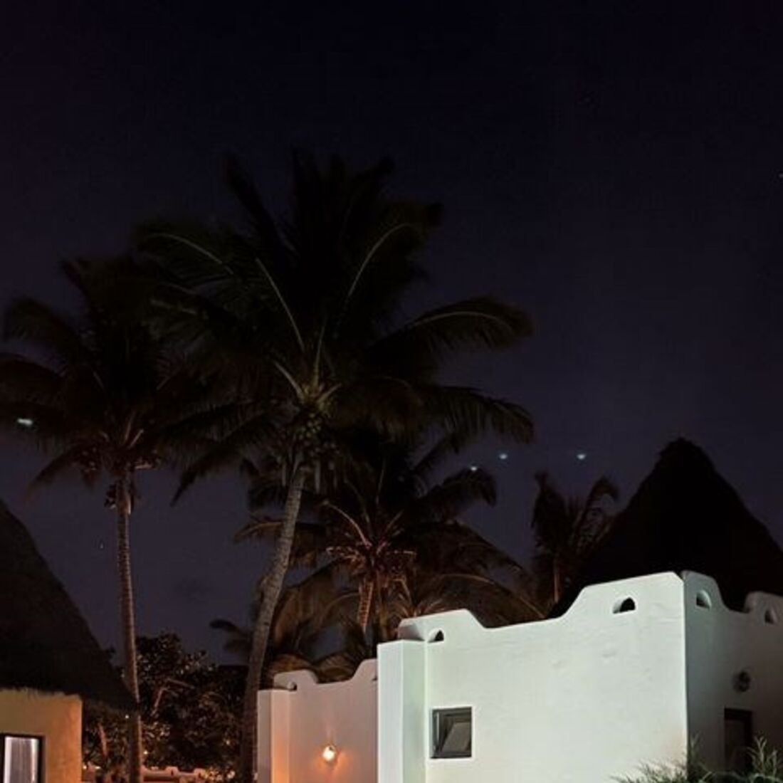 Liliana Filipa, Daniel Gregório