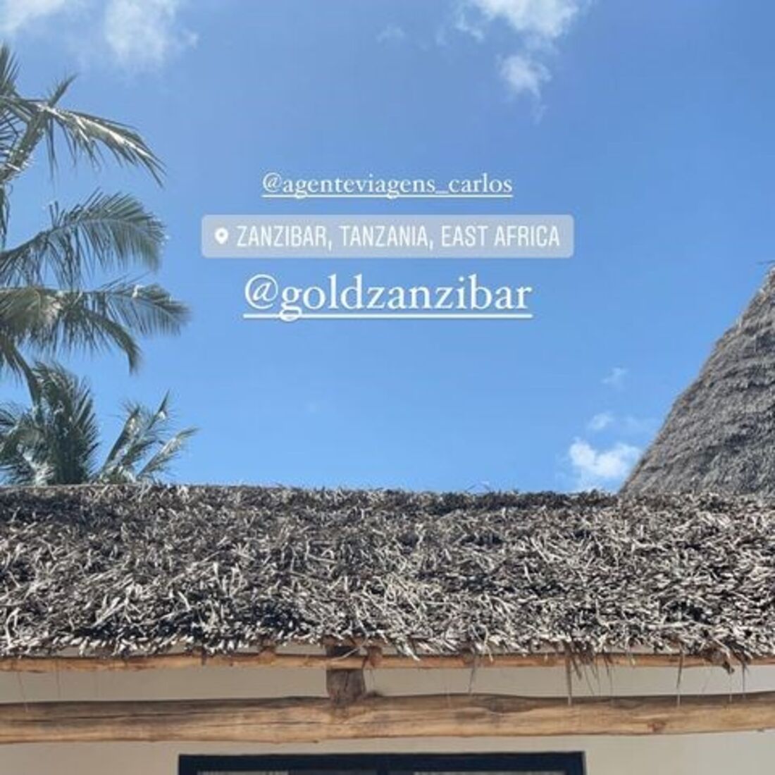 Liliana Filipa, Daniel Gregório