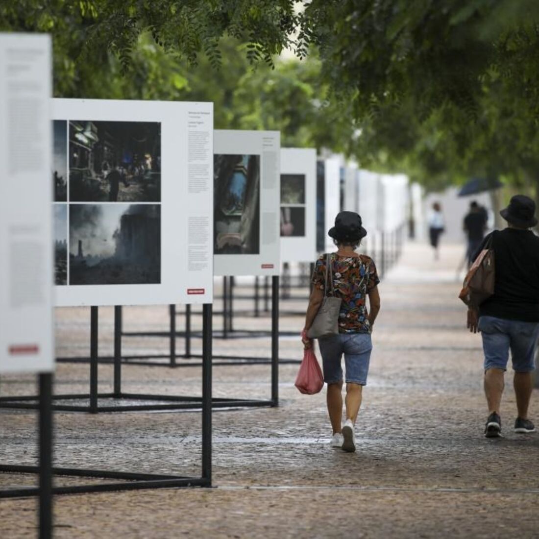 World Press Photo, 2021, Fotojornalismo, Oeiras, fotografia, Parque dos Poetas