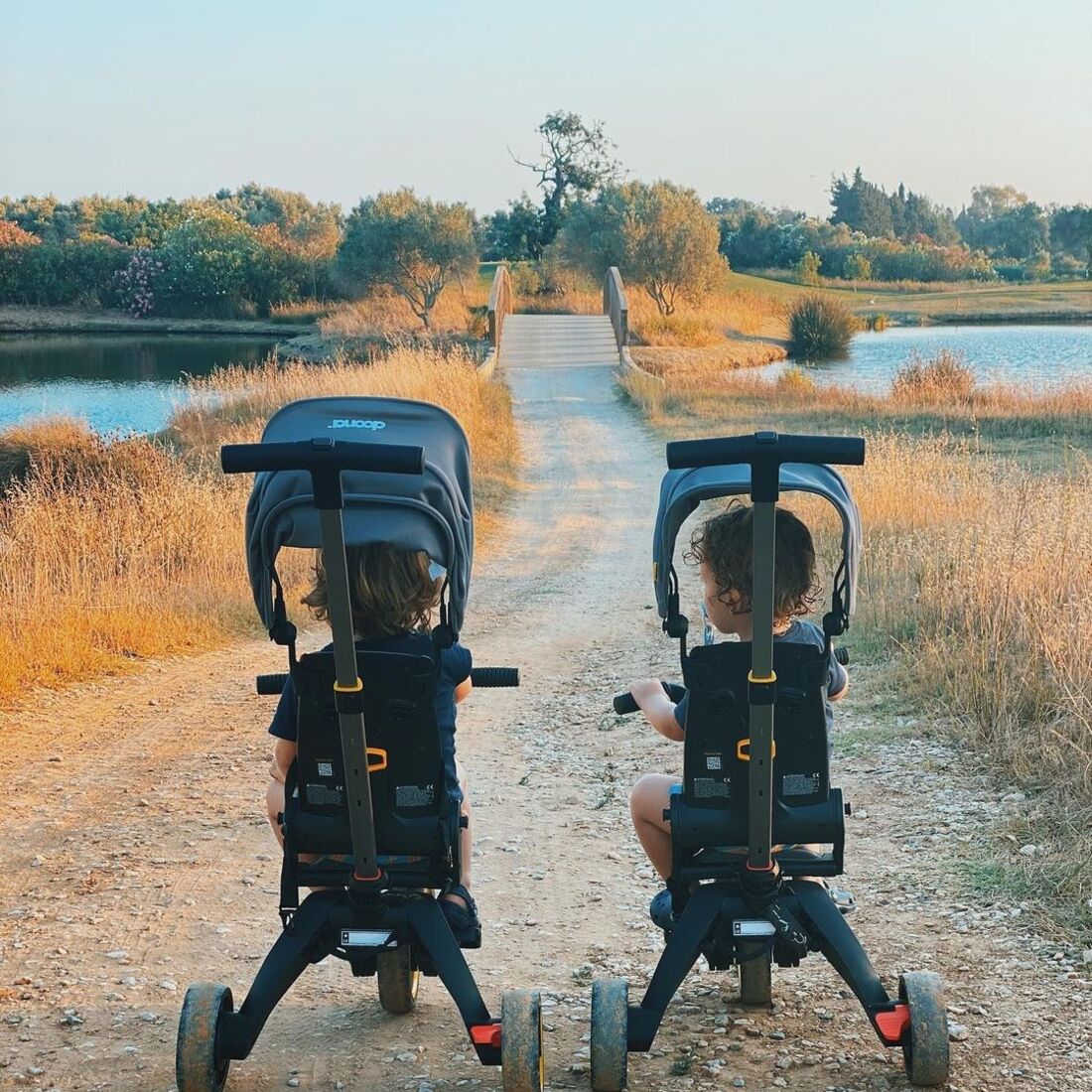 inês herédia, tomás, luís, filhos, gémeos