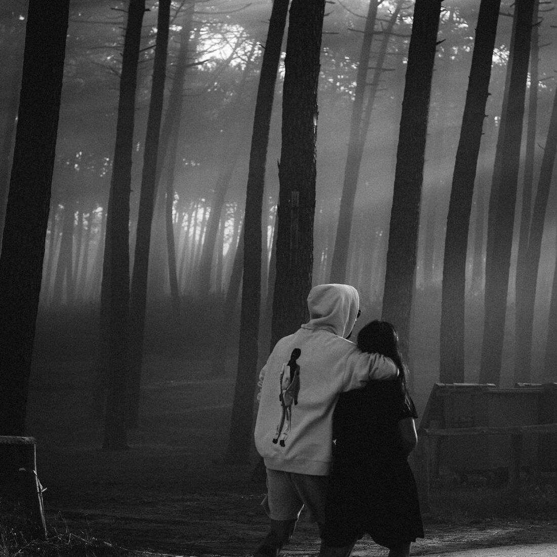 Pedro Barroso, Mariana Marques