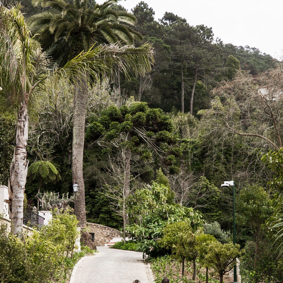 Tiago, Dina, Casados à Primeira Vista