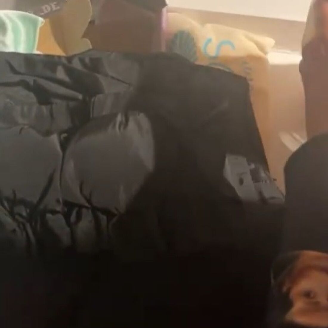 Bruna Gomes, Bernardo Sousa