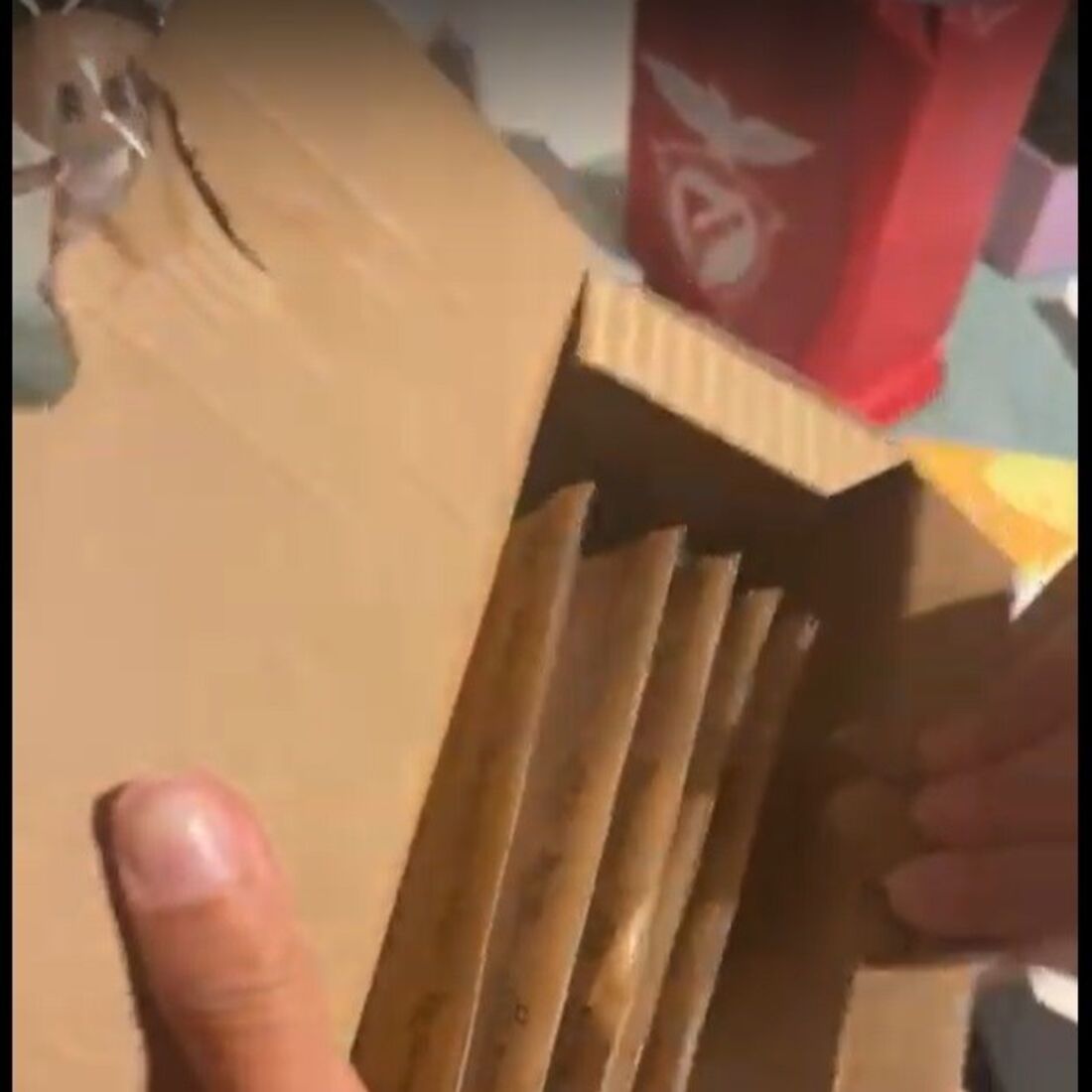 Bruna Gomes, Bernardo Sousa